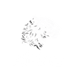 RIIDOZ