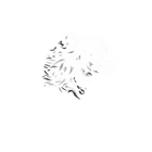 RIIDOZ